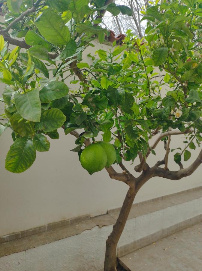 הוילה מונדלו Antigone Holiday House מראה חיצוני תמונה
